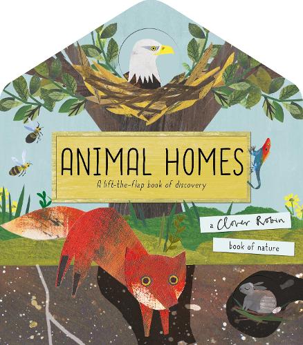 Cover of Animal Homes by Libby Walden